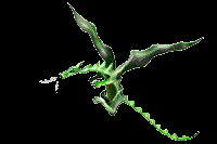 Cool Dragon